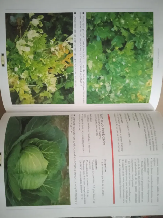 El libro del huerto guía práctica ilustrada par...