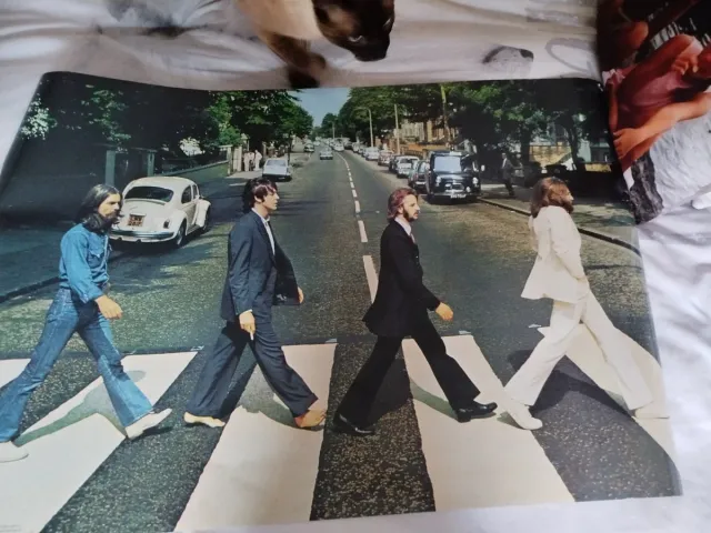 Póster The Beatles Abbey Road