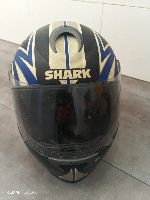 Casco Shark