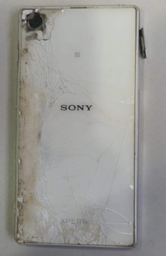 Sony Xperia Z1 Negro/Plateado