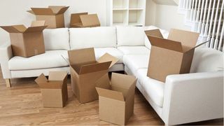 Montaje de muebles y ayuda en mudanzas