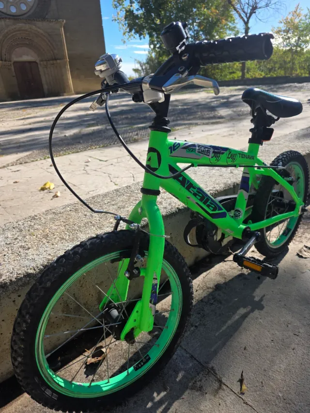 Bicicleta Infantil Rin 16 Verde