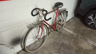 Bici Motoconfort Vintage