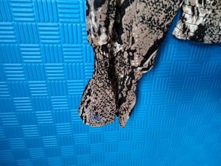 Blusa Guess Mujer Talla XS Estampado Animal