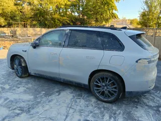 Leapmotor C10 reev INUNDADO