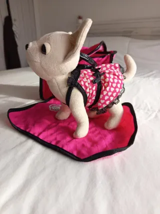 Perro Chi Chi Love con bolso y alfombra
