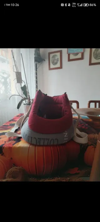 Borsetta per cani TG S mai usata con guinzaglieria