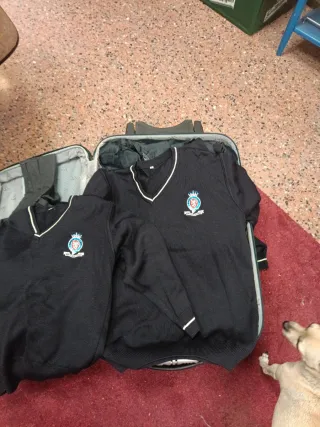 Jersey King's College Talla 10-16