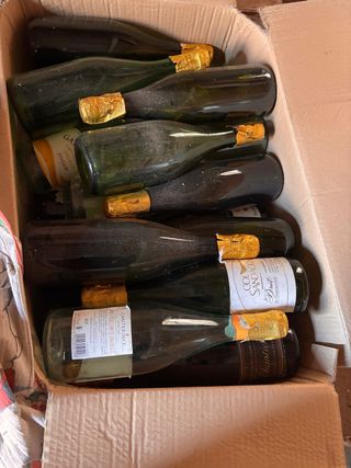 Bottiglie per imbottigliamento vino