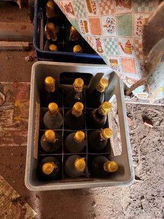 Bottiglie per imbottigliamento vino