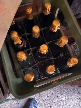 Bottiglie per imbottigliamento vino