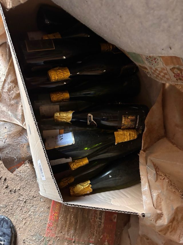 Bottiglie per imbottigliamento vino