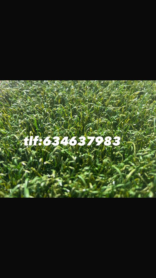 Césped artificial reciclado