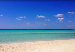 Piso en alquiler en Campos