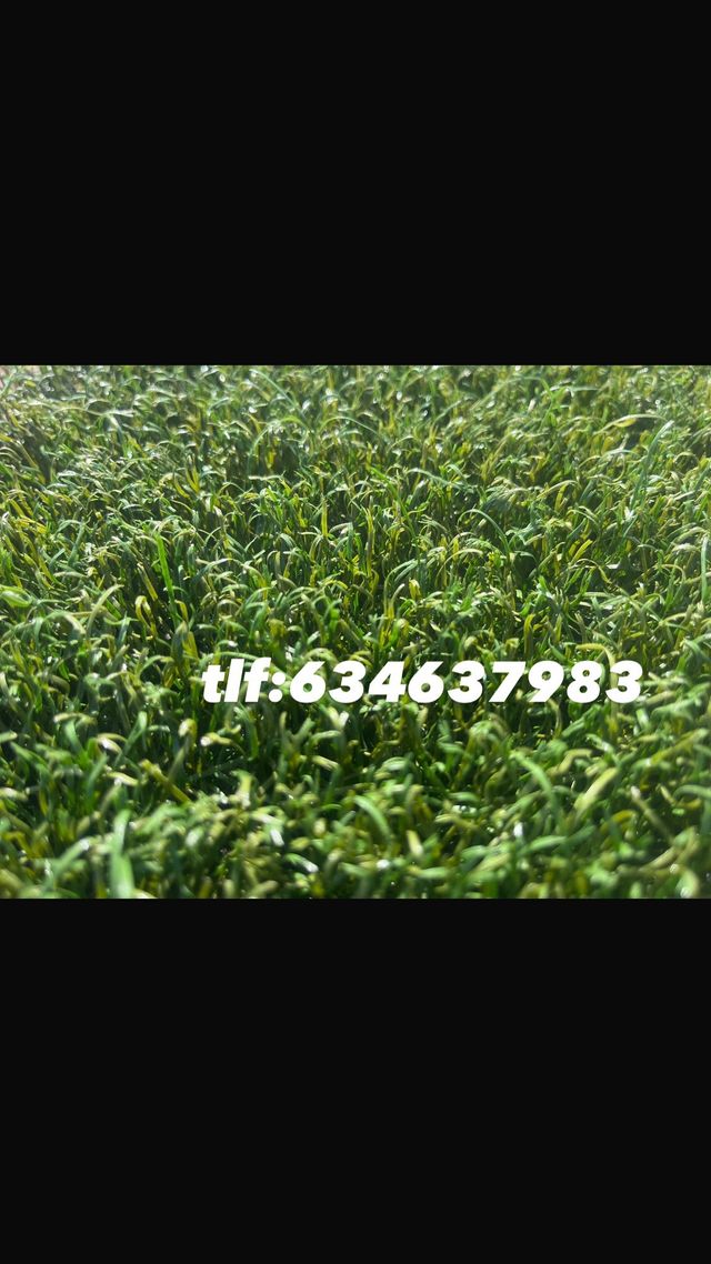 Césped Artificial Reciclado Verde