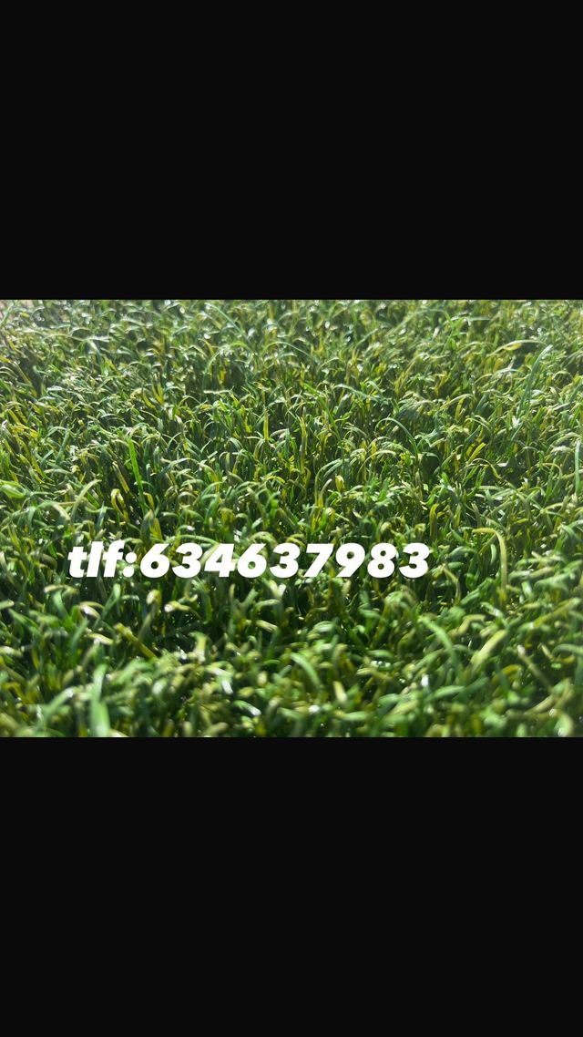 Césped artificial reciclado