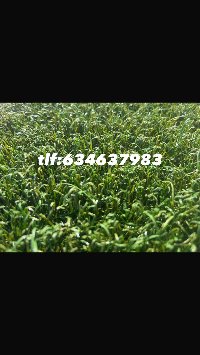 Césped artificial reciclado