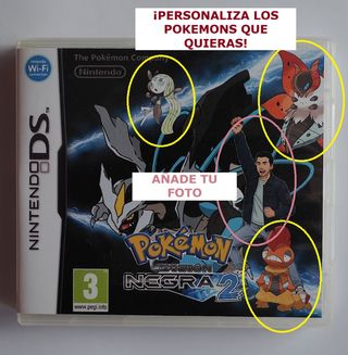 Caja Personalizada Pokémon (Nintendo DS)