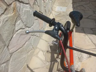 Bicicleta Montesita