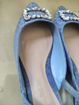 Zapatos joya plateados y azules