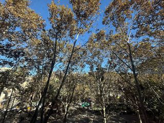 Piso en alquiler en El Raval en Barcelona