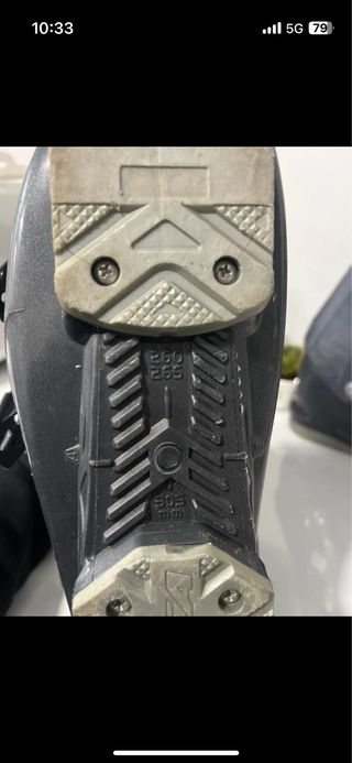 Botas de esquí Nordica