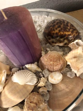 Centro de mesa con caracolas y vela