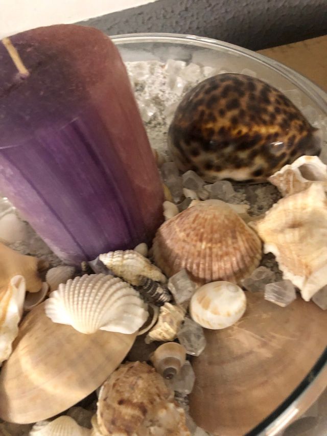 Centro de mesa con caracolas y vela