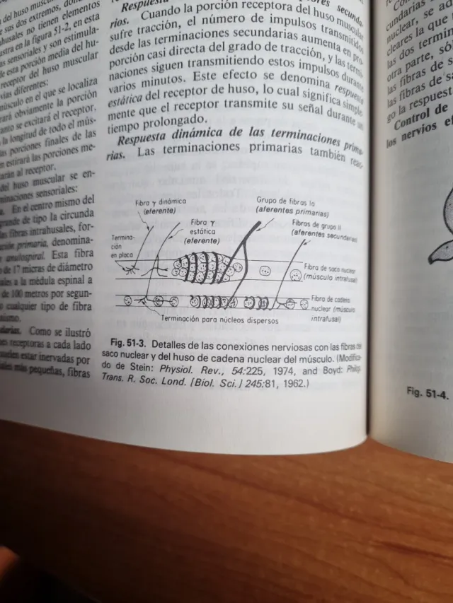 Tratado de Fisiología Médica