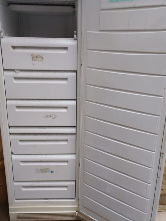 Congelador Vertical Electrolux