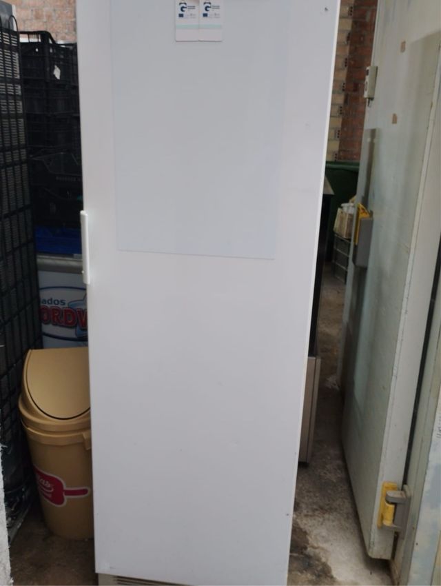 Congelador Vertical Electrolux