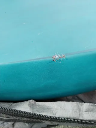 Tabla wingfoil Gong Lemon 5'4 Full Carbon