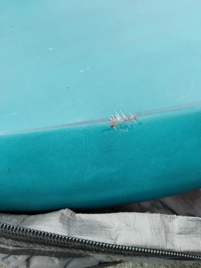 Tabla wingfoil Gong Lemon 5'4 Full Carbon