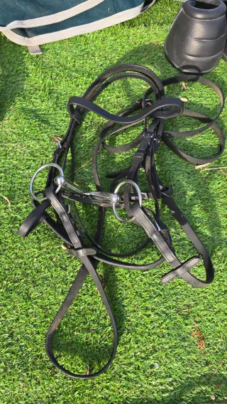 Lote Hípica y Accesorios