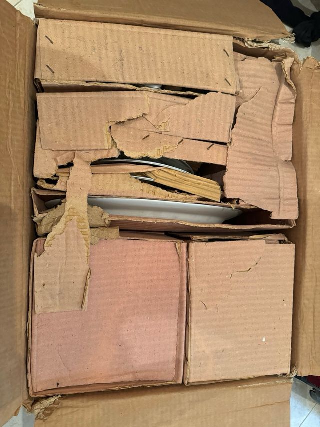 Royal Elegance Vajilla 47 Piezas