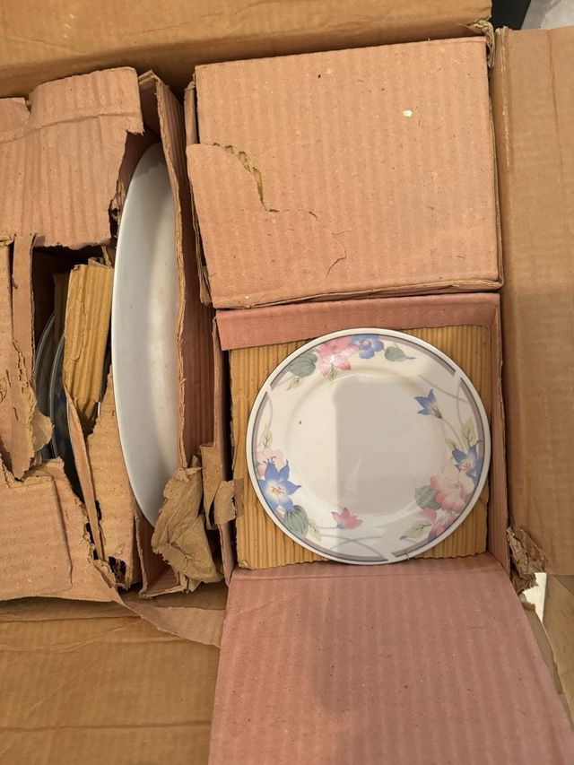 Royal Elegance Vajilla 47 Piezas