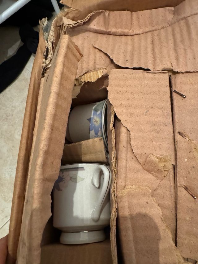 Royal Elegance Vajilla 47 Piezas