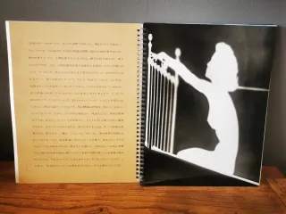 Madonna Sex book Japan con promo cd y cómic