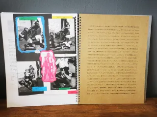 Madonna Sex book Japan con promo cd y cómic de segunda mano por