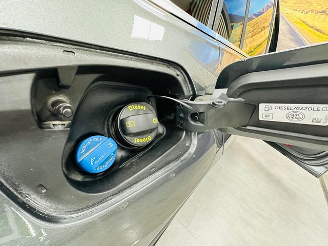 VOLKSWAGEN Tiguan Advance 2.0 TDI DSG