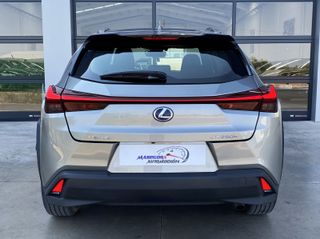 Lexus UX 2.0 250H Business Navigation 184cv Hybrid