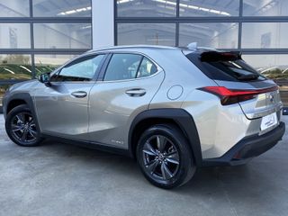 Lexus UX 2.0 250H Business Navigation 184cv Hybrid