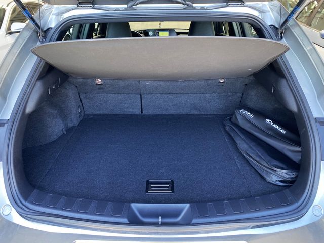 Lexus UX 2.0 250H Business Navigation 184cv Hybrid