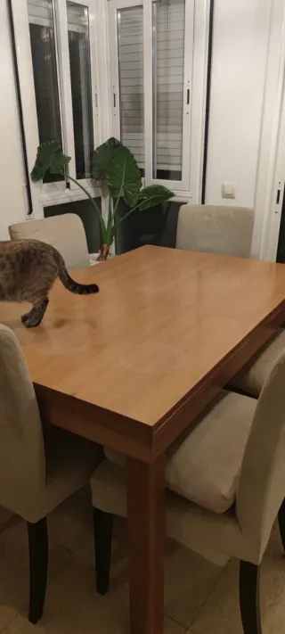 Mesa de comedor extensible de madera