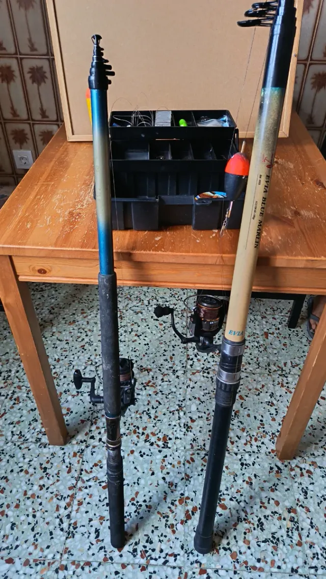 2 Cañas de Pescar + Accesorios