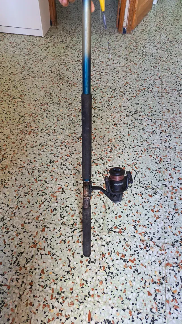 2 Cañas de Pescar + Accesorios