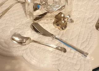 Spalmino per  burro in silver plated