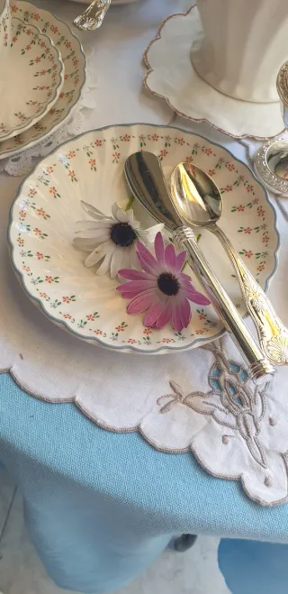 Spalmino per  burro in silver plated