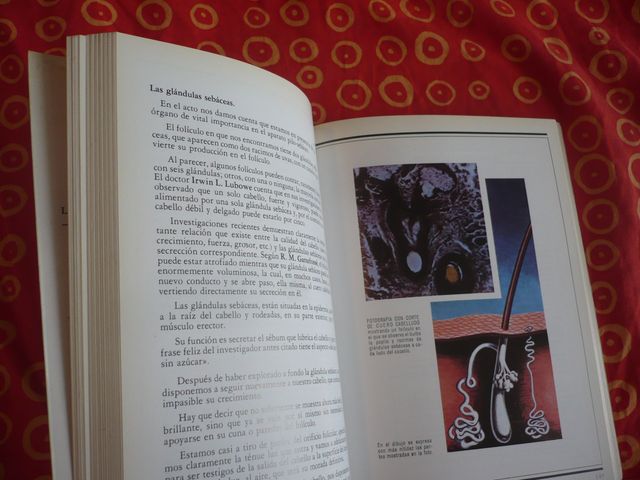 EL CABELLO Y SU HABITAT ( GERARDO BENITO CALLEJA )