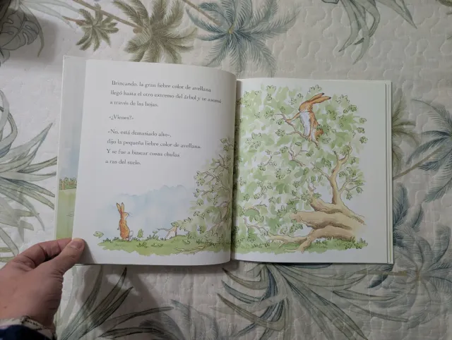 2 libros: El día que la mariquita / Adivina cuánto